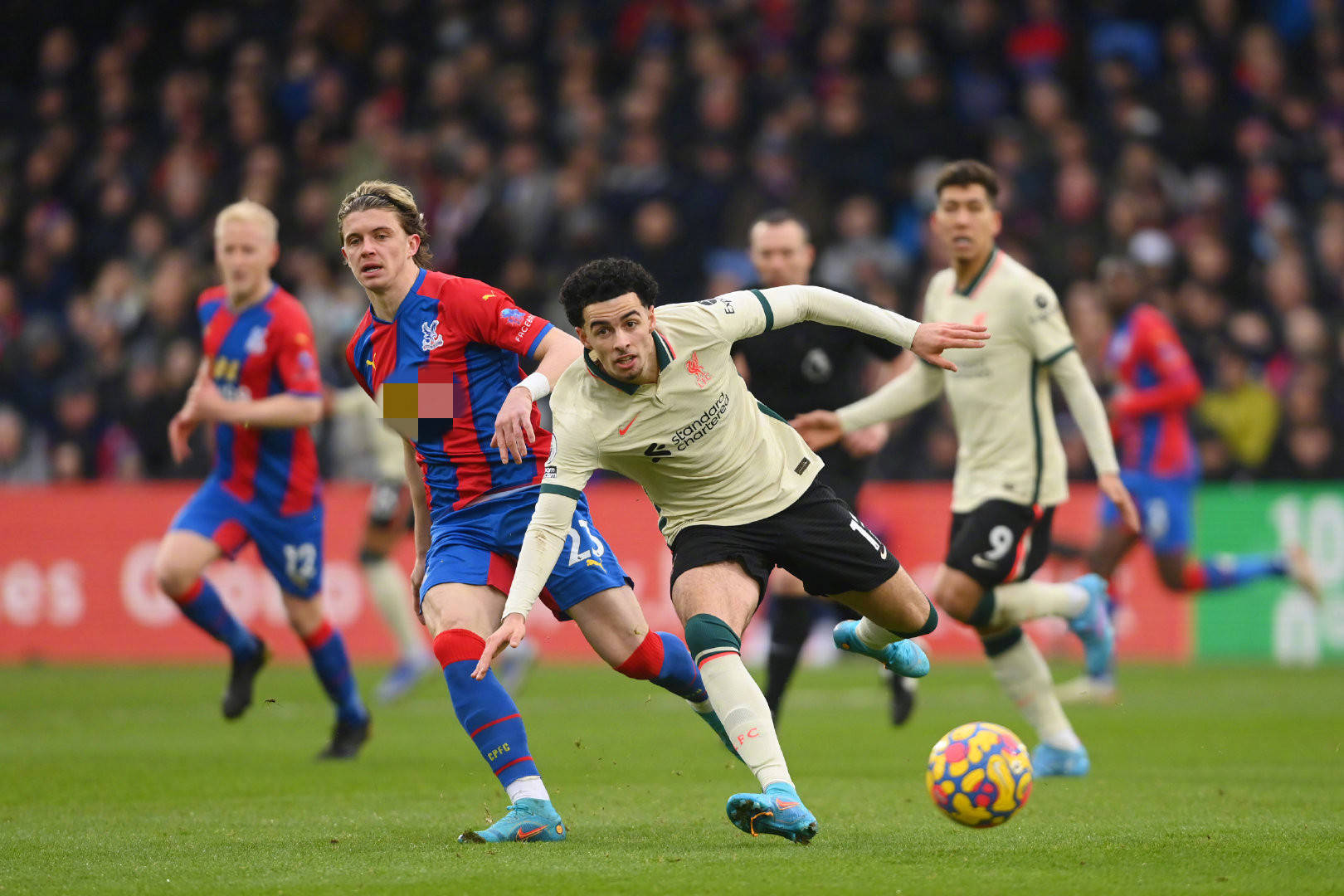 滕哈格：最近在家族企业里帮忙，未来不一定会重回教练岗位.